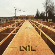 lvl建筑用 橫梁順向多層板 名森板